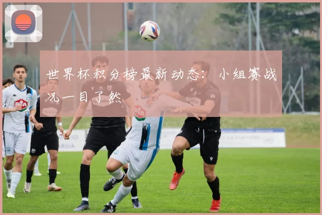 世界杯积分榜最新动态：小组赛战况一目了然