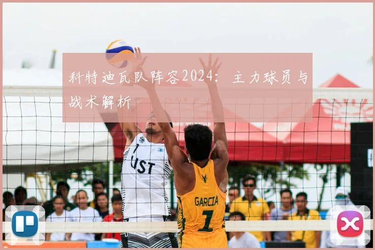 科特迪瓦队阵容2024：主力球员与战术解析