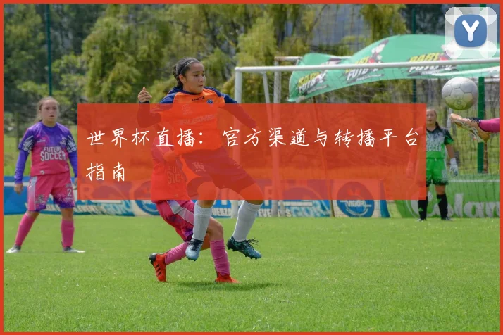 世界杯直播:官方渠道与转播平台指南
