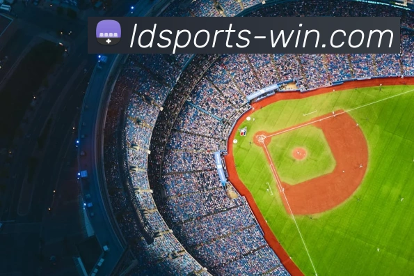 App Interface Preview